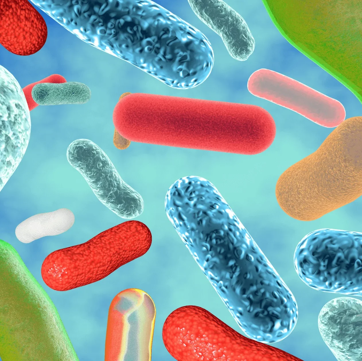 Probiotic Blend